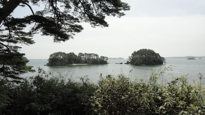 img0017.jpg
