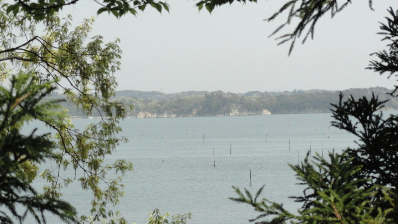 img0027.jpg