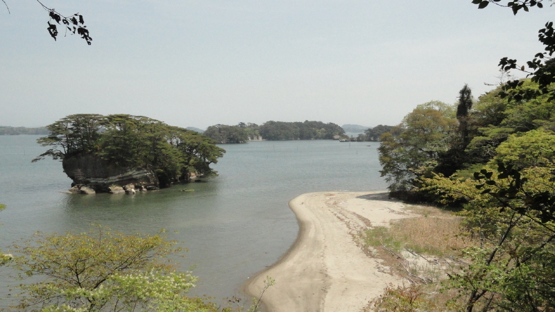 img0029.jpg
