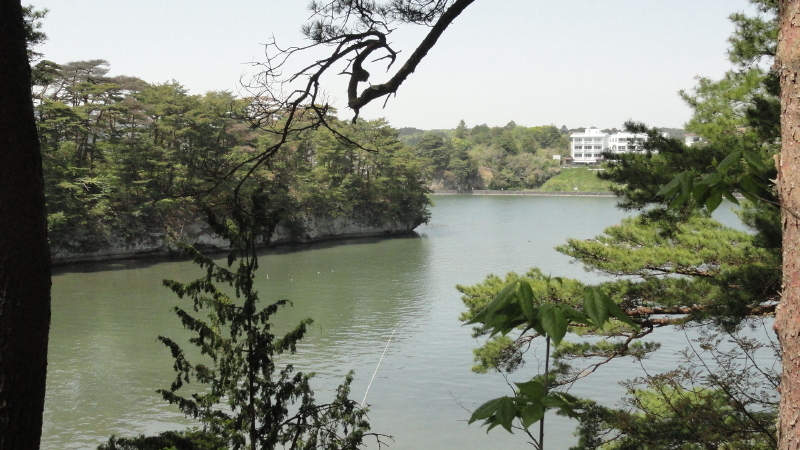 img0033.jpg