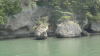 img0005.jpg