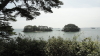 img0017.jpg