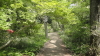 img0020.jpg