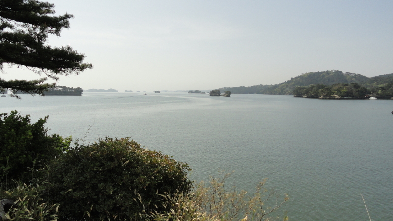 img0008.jpg