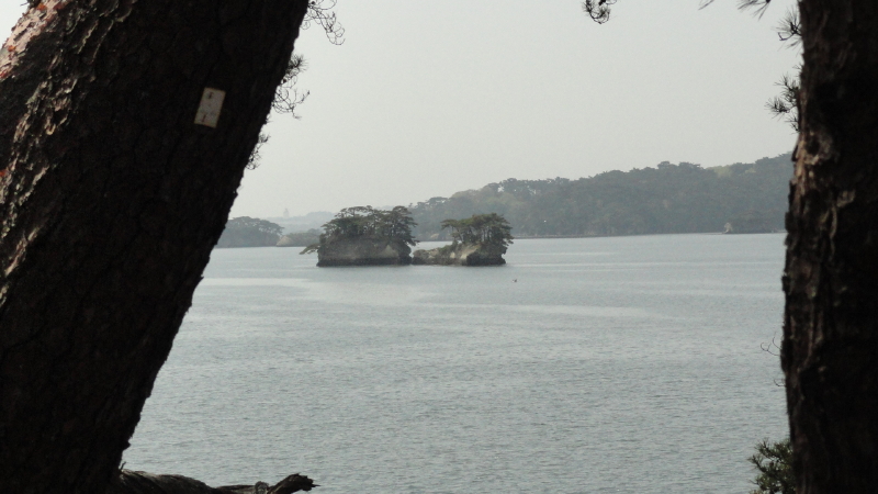 img0017.jpg