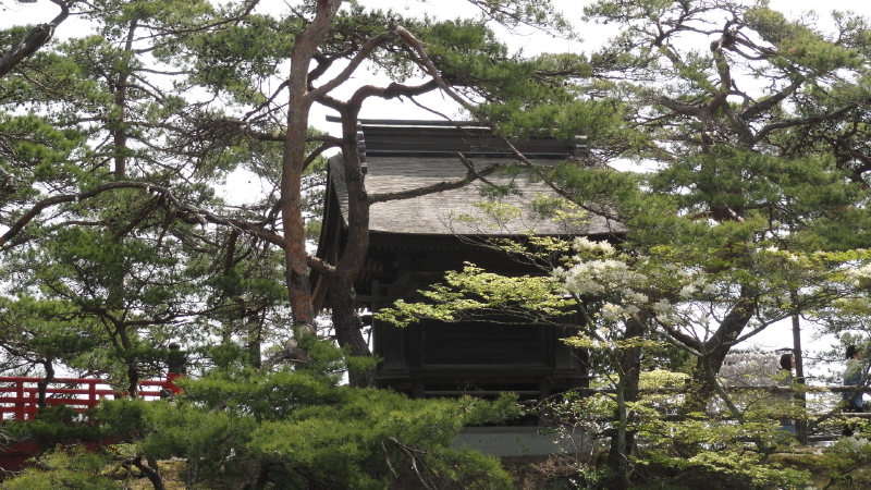 img0024.jpg