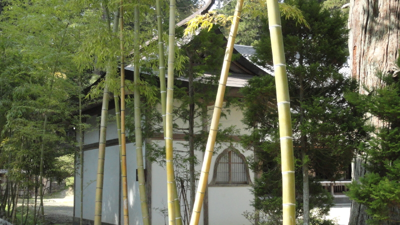 img0003.jpg