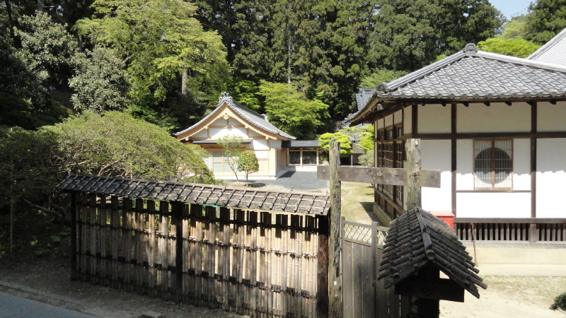 img0006.jpg
