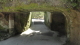 img0020.jpg