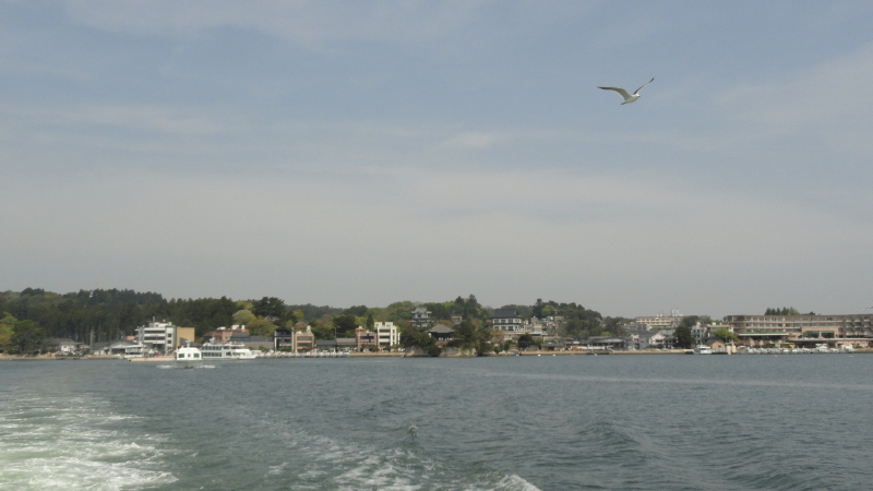 img0004.jpg