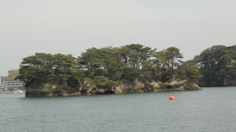 img0008.jpg