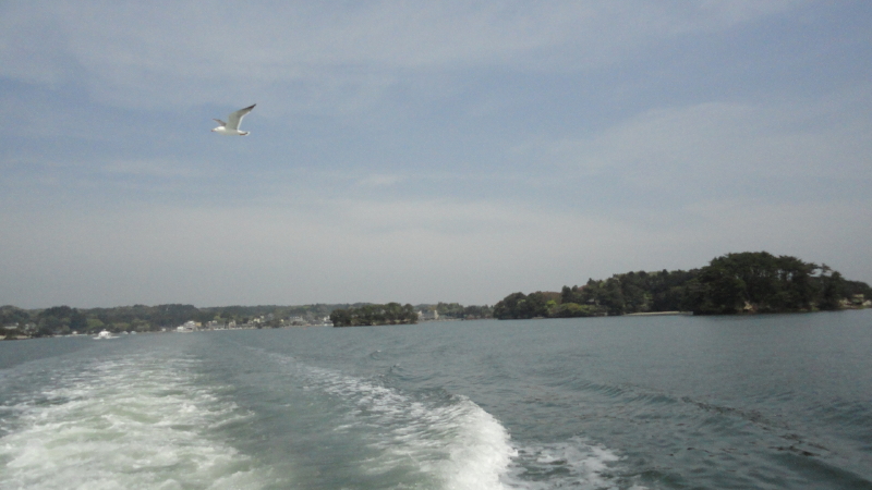 img0009.jpg