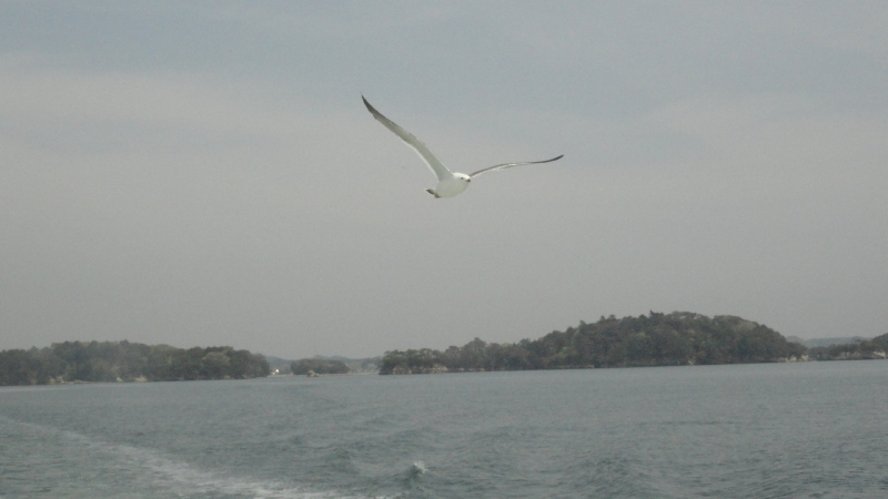 img0012.jpg