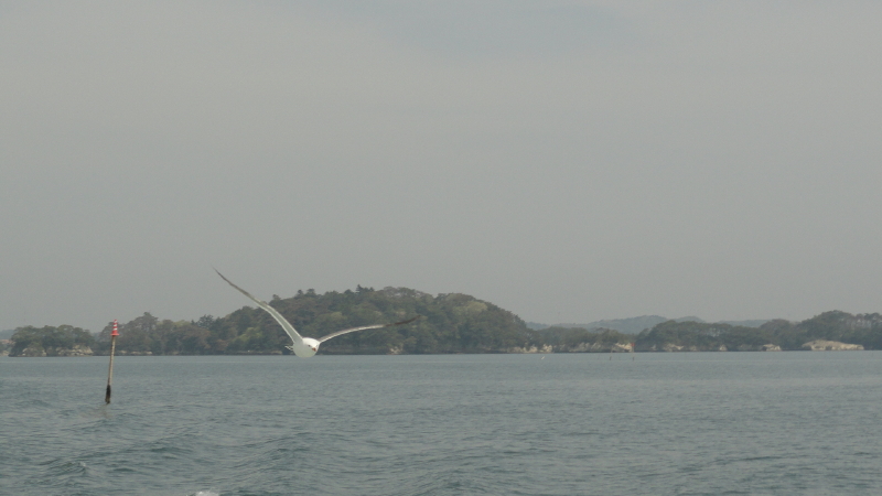 img0013.jpg