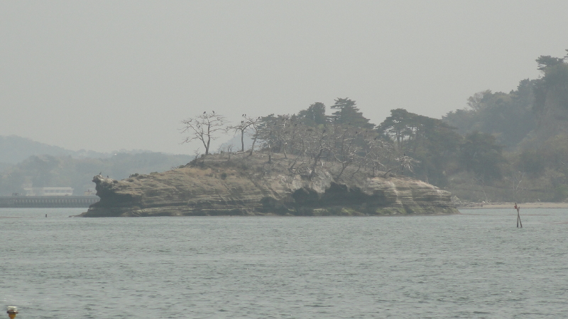 img0019.jpg
