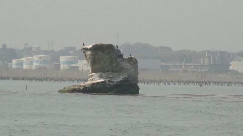 img0020.jpg
