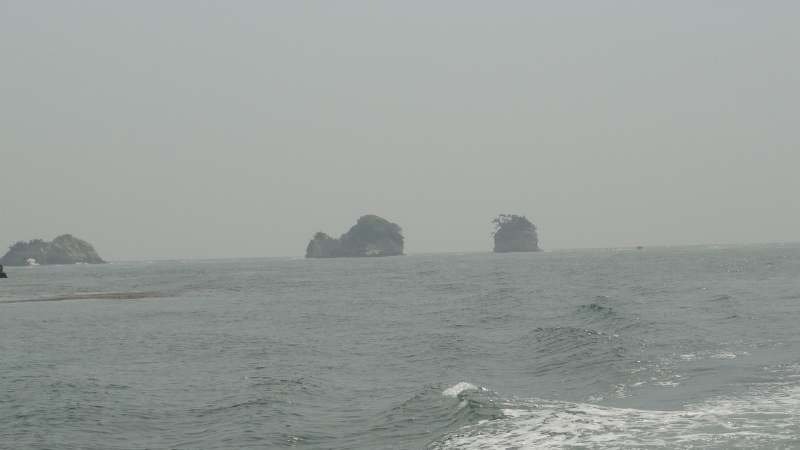 img0048.jpg