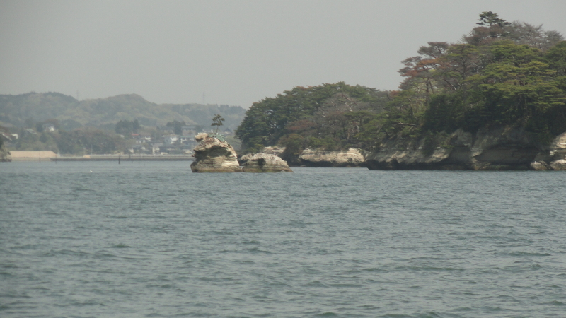 img0050.jpg
