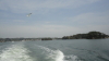 img0009.jpg