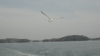 img0012.jpg