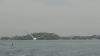 img0013.jpg