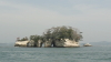 img0027.jpg