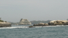 img0037.jpg