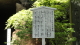 img0003.jpg