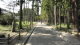 img0006.jpg