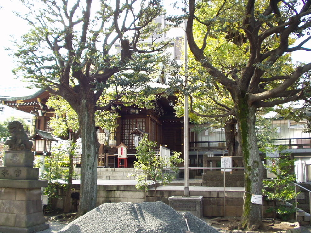 img0003.jpg