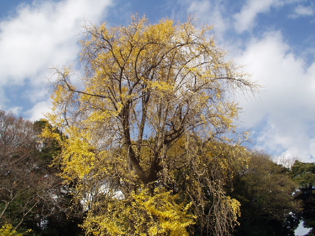 img0005.jpg