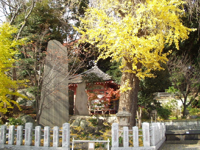 img0006.jpg