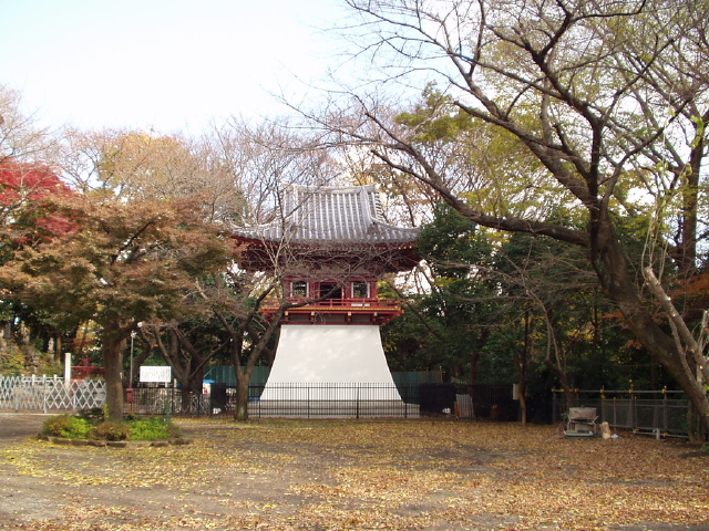 img0011.jpg