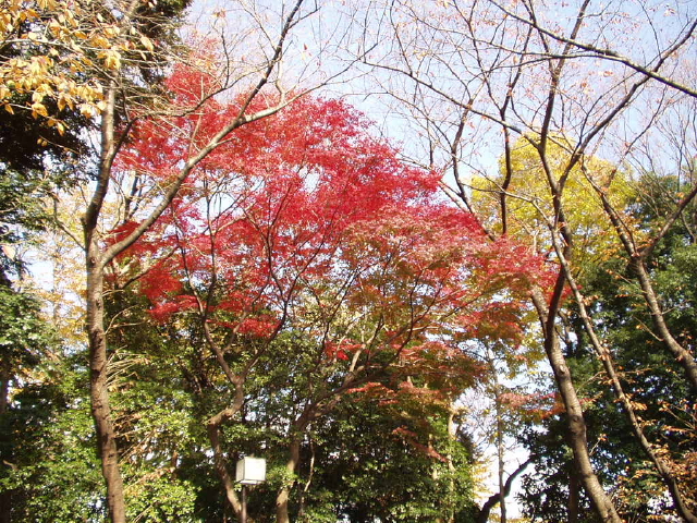 img0014.jpg