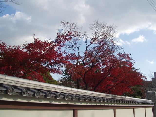 img0022.jpg
