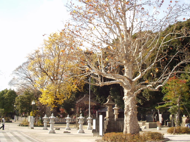 img0024.jpg