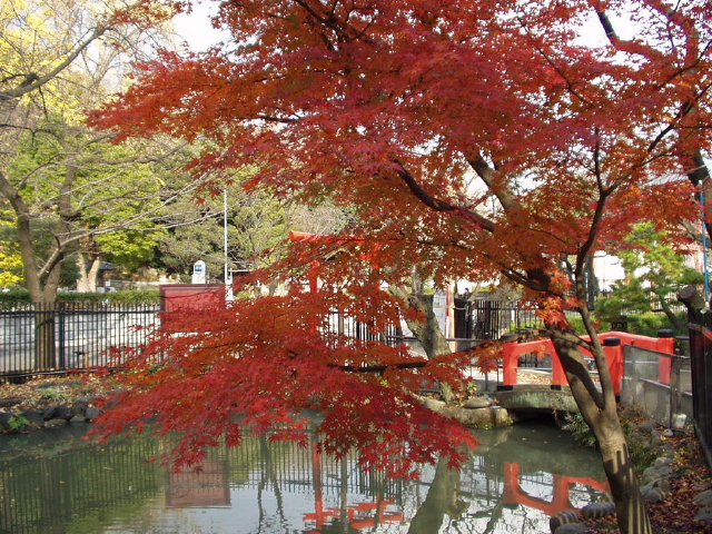 img0027.jpg