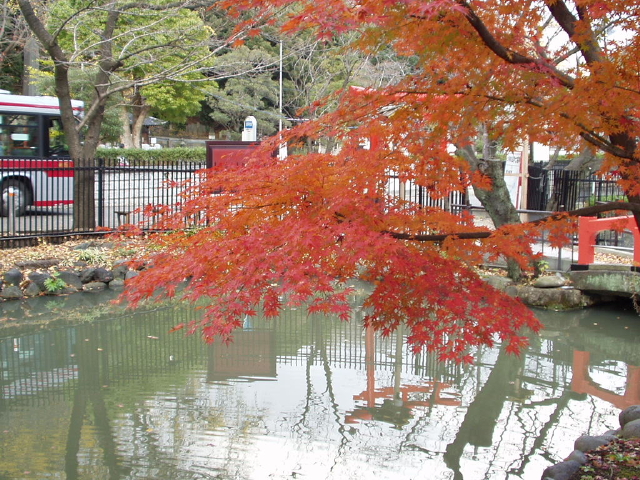img0028.jpg