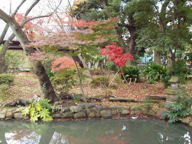 img0029.jpg