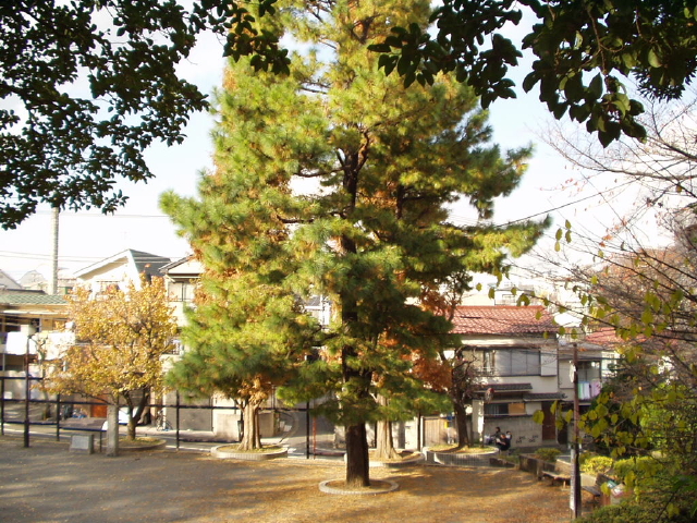 img0035.jpg