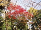 img0014.jpg