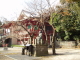 img0016.jpg