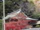 img0025.jpg