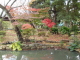img0029.jpg