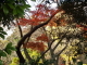 img0037.jpg