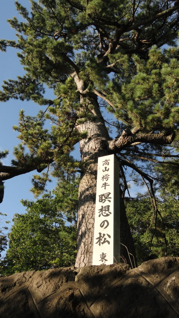 img0002.jpg
