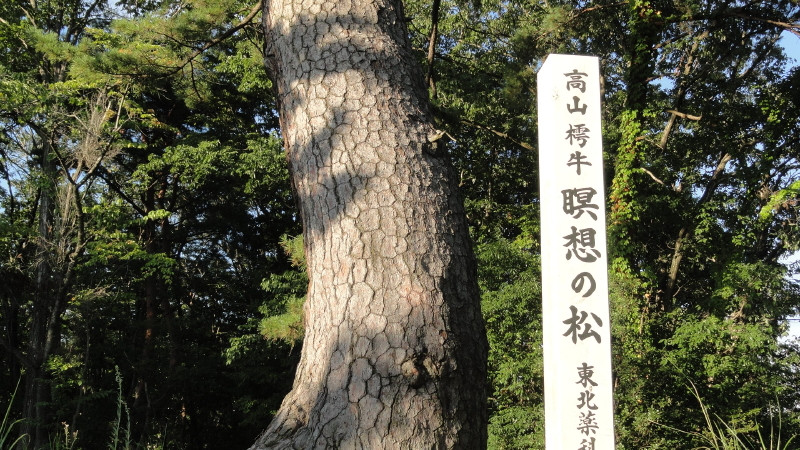 img0003.jpg