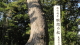 img0003.jpg