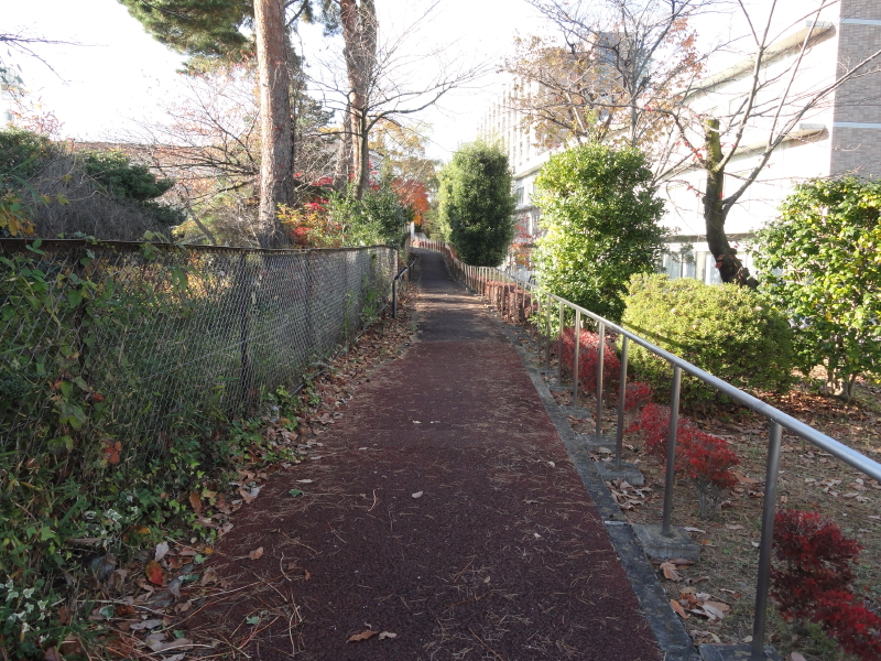 img0003.jpg