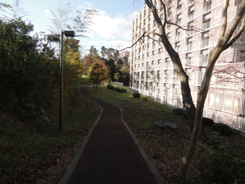 img0008.jpg